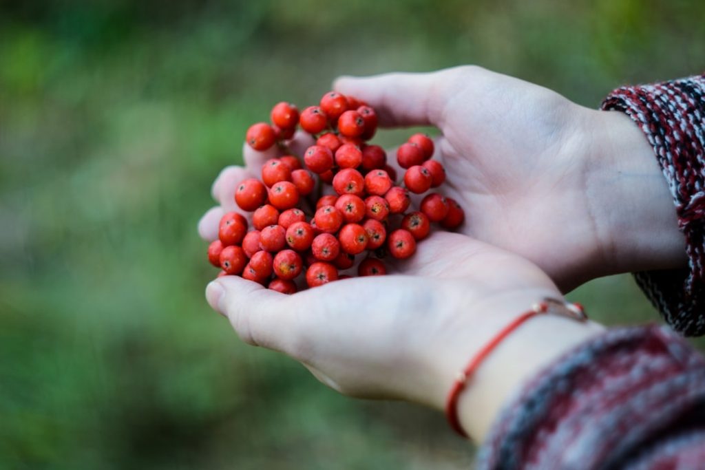 Photo Functional Medicine